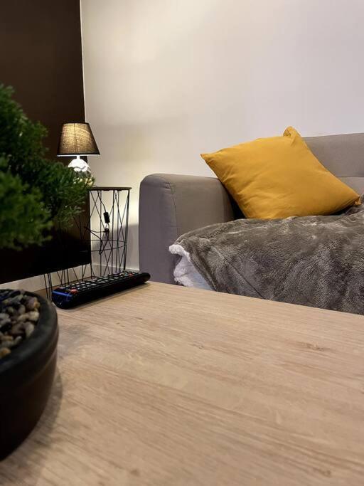 Villa Gaby ~ Jardinet ~ Hyper-Centre Pau Zewnętrze zdjęcie